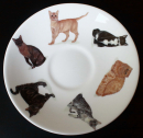 Roy Kirkham Frühstückstasse mit Untersetzer, Cats Galore